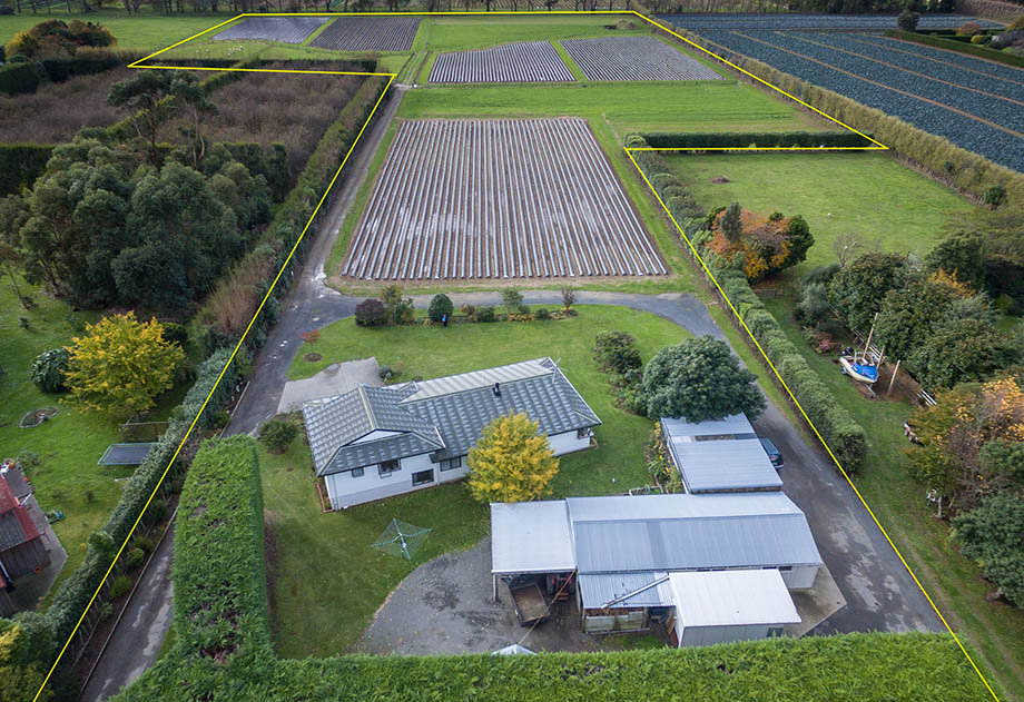 strawberry_farm